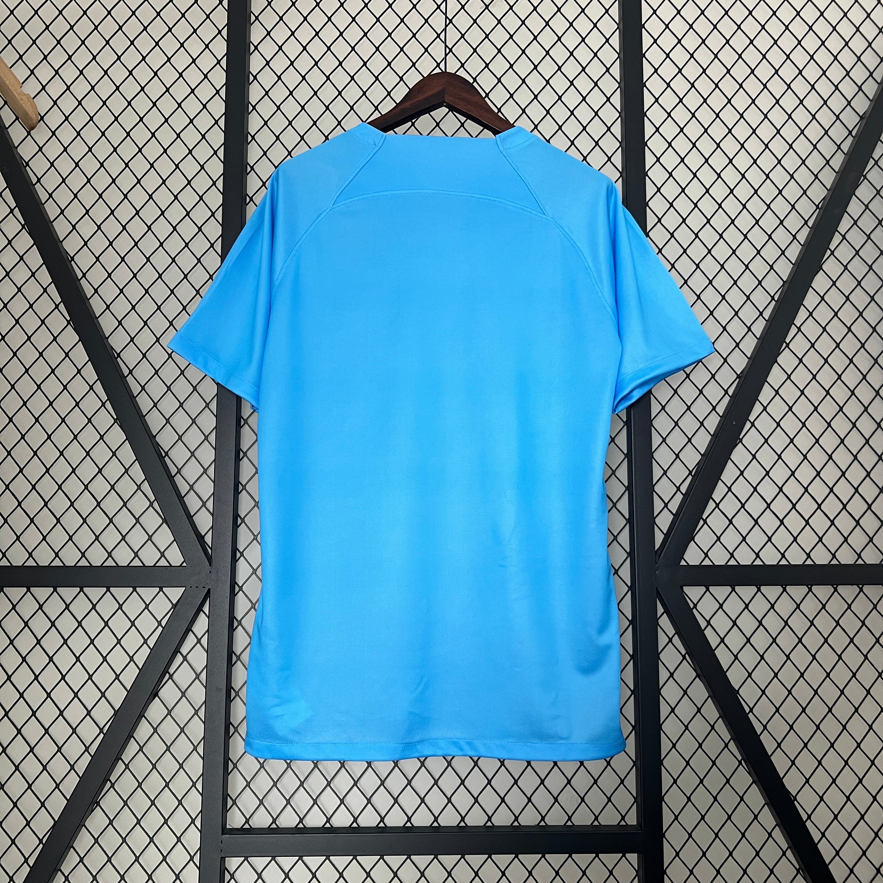 24/25 Nederland Shirt - Leeuw Concept