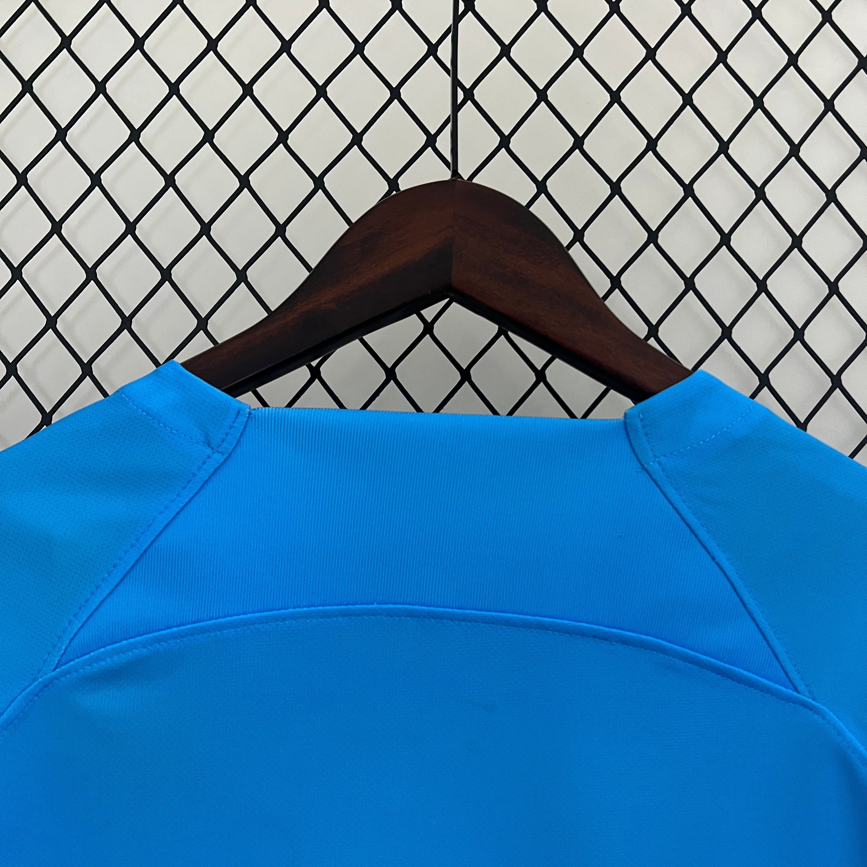 24/25 Nederland Shirt - Leeuw Concept