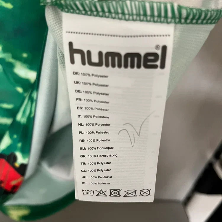 Maglia Edizione Speciale Werder Bremen 2023-2024 - Verde