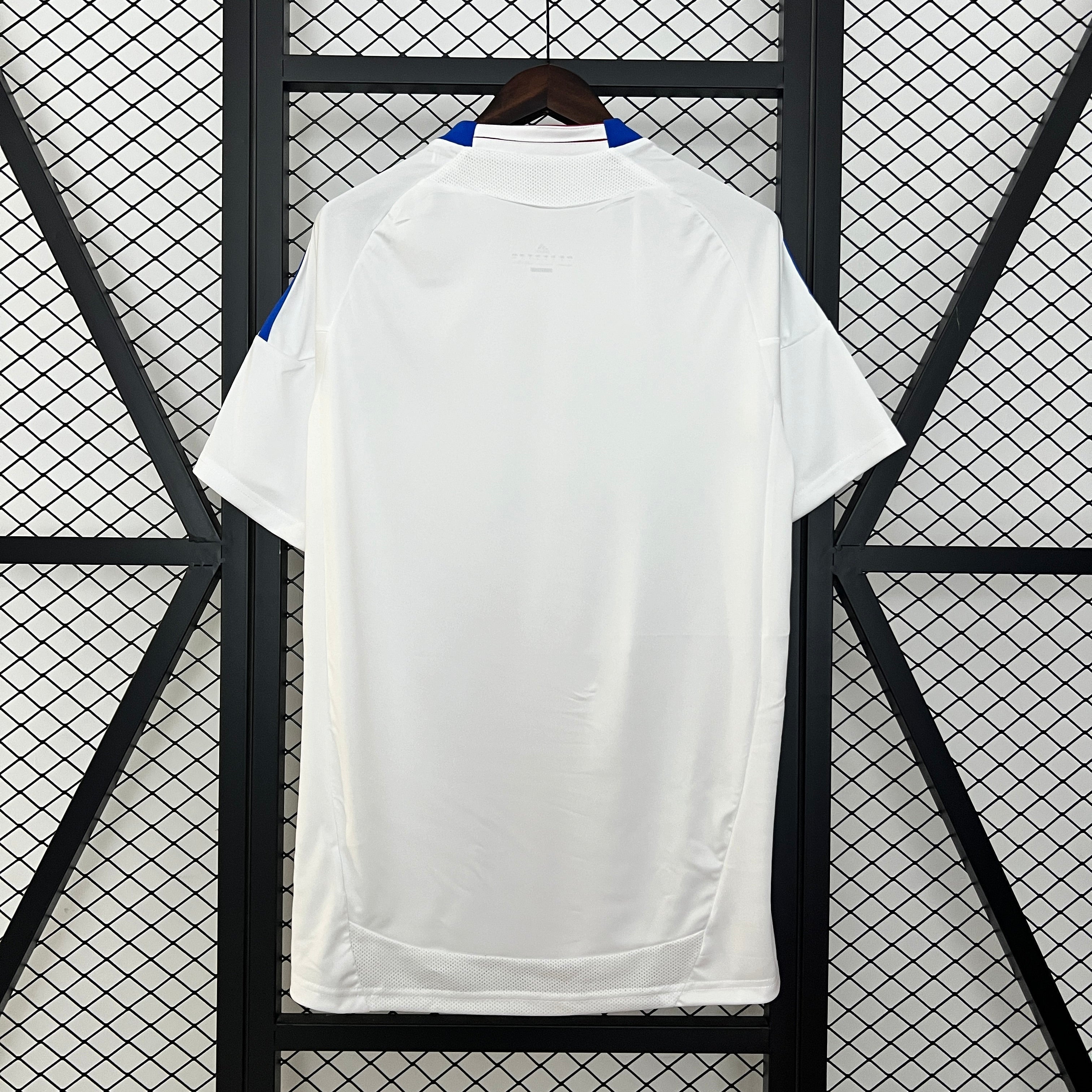 Maillot domicile de l'Olympique Lyonnais 2010/2011