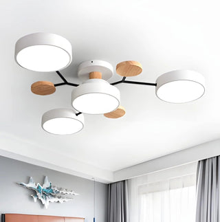Ceiling Light Modern LED Flush Mount Chandelier