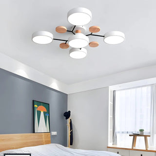 Ceiling Light Modern LED Flush Mount Chandelier