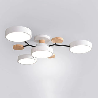 Ceiling Light Modern LED Flush Mount Chandelier