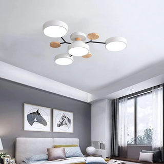 Ceiling Light Modern LED Flush Mount Chandelier