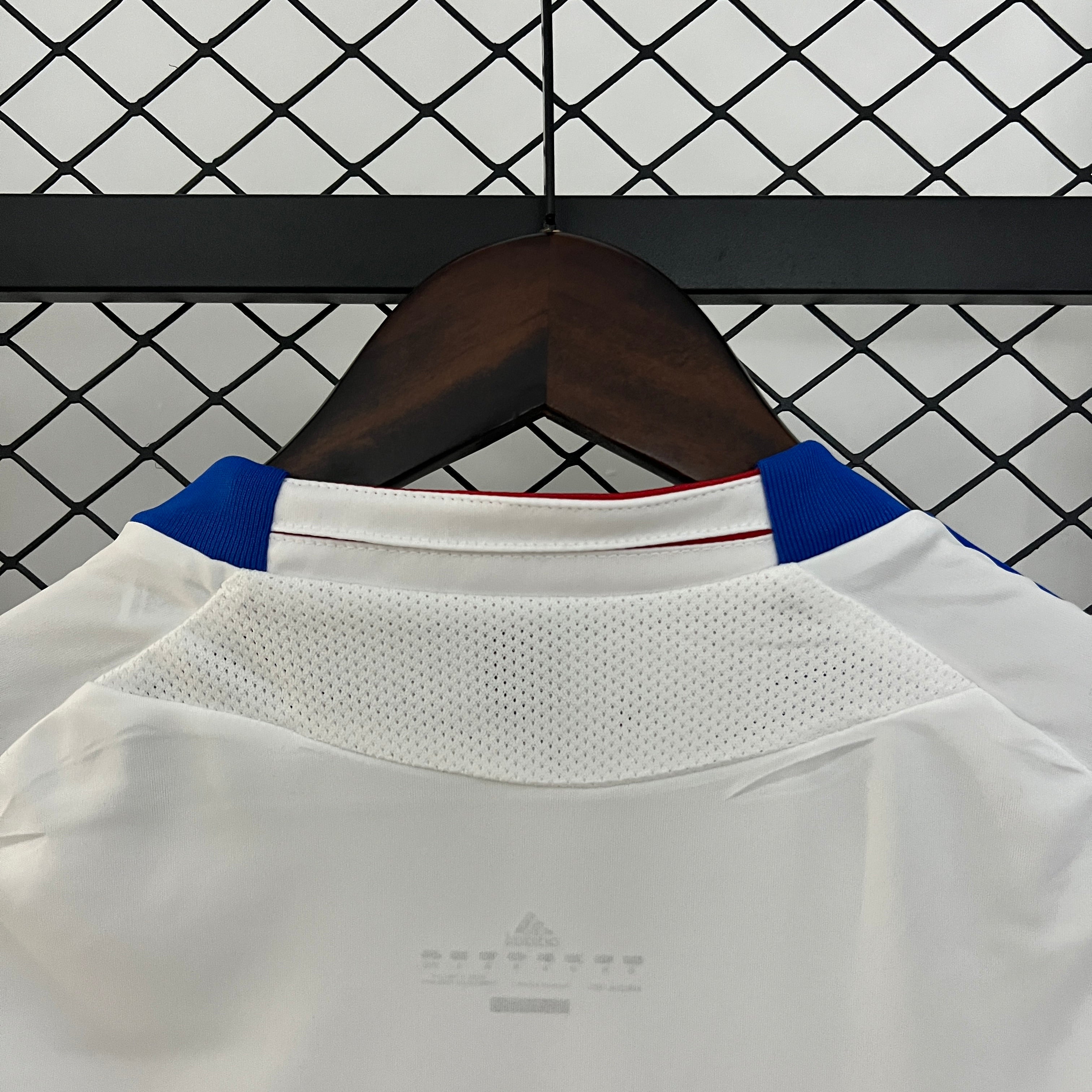 2010/2011 Olympique Lyonnais Home Jersey
