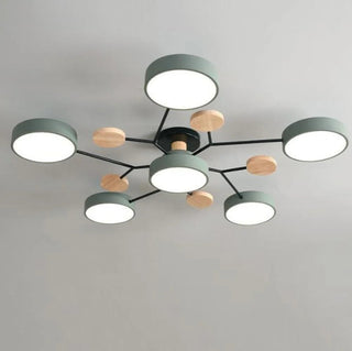 Ceiling Light Modern LED Flush Mount Chandelier