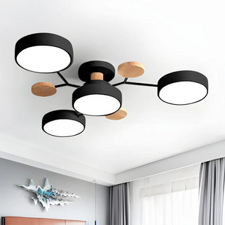 Ceiling Light Modern LED Flush Mount Chandelier