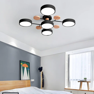 Ceiling Light Modern LED Flush Mount Chandelier