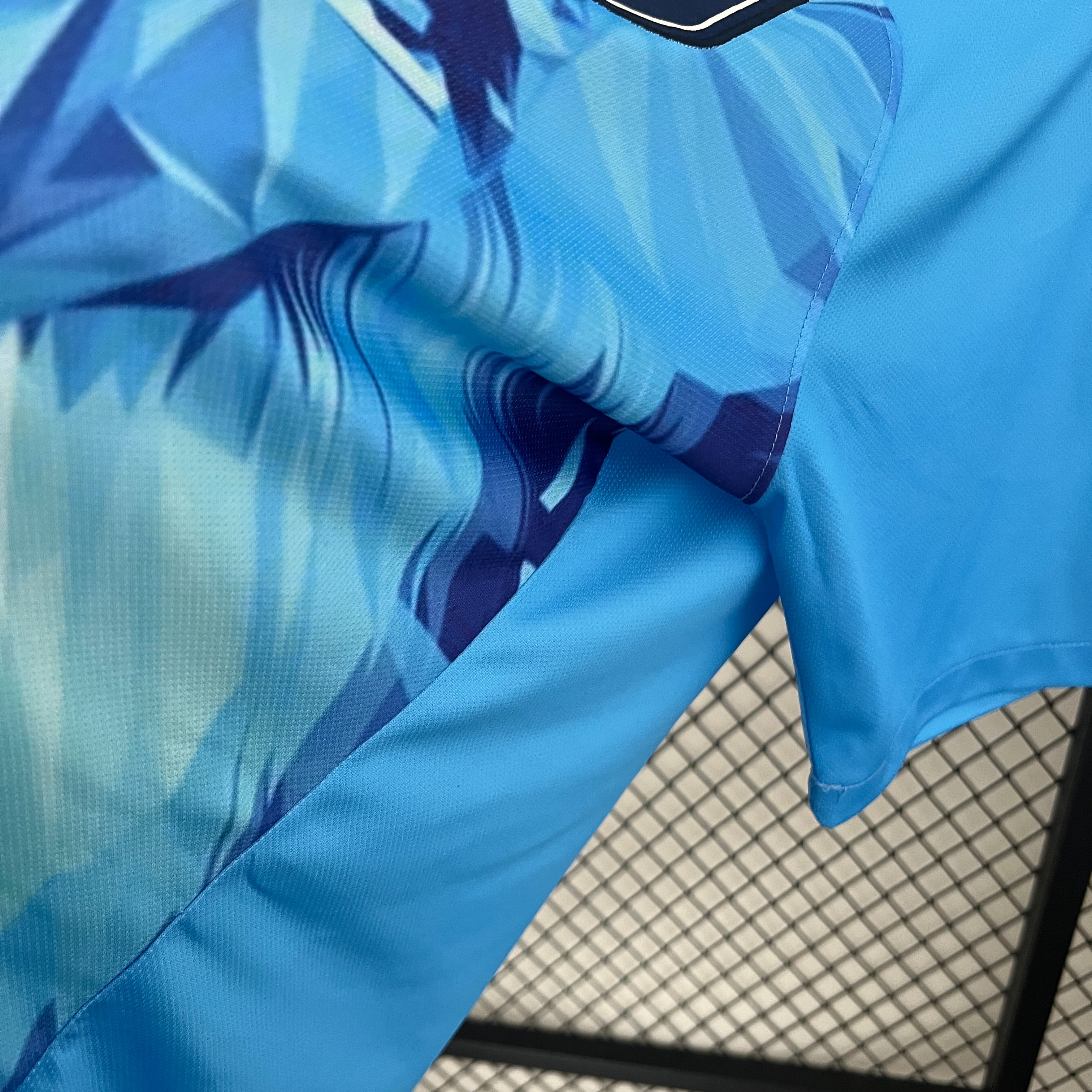 24/25 Netherlands Jersey - Lion Concept