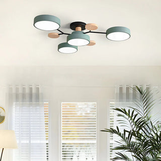Ceiling Light Modern LED Flush Mount Chandelier
