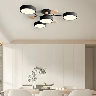 Ceiling Light Modern LED Flush Mount Chandelier
