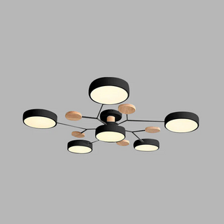 Ceiling Light Modern LED Flush Mount Chandelier
