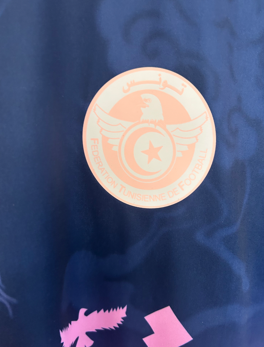 Tunisia Carthage Eagles Pink Blue Shirt